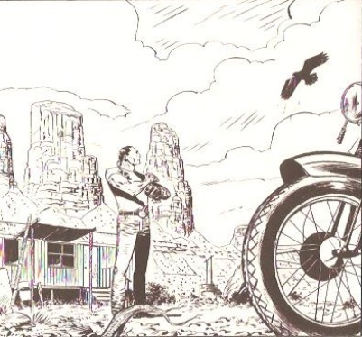 Saguaro e il falco Little Eye<br>Vignetta di I. Mattone, pag.16<br><i>(c) 2012 Sergio Bonelli editore</i>
